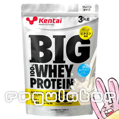 【Kentai】BIG ビッグ 100％ ホエイプロテイン プレーンタイプ 3kg （送料無料）【ケンタイ・健康体力研究所】