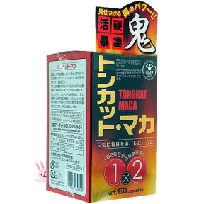 【アウトレット】トンカット・マカ 467mg×60カプセル ※訳あり(わけあり)／箱つぶれ・期限切迫品など