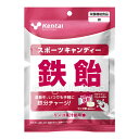 （まとめ買い）【Kentai】スポーツキャンディー 鉄飴 ×12【ケンタイ・健康体力研究所】