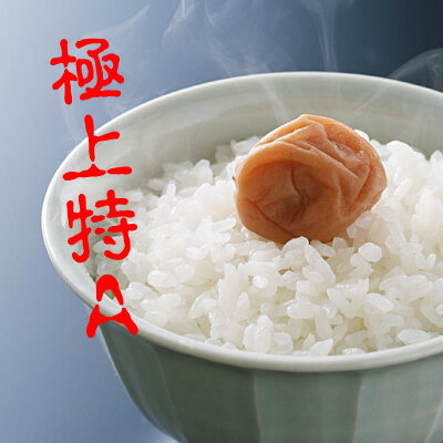 【特Aランク米】【2020年度米】長野県北信産 こしひかり 流るる（るるる）無洗米 5kg×2 ※100％有機肥料・世界一・日本一・おいしいお米を召し上がれ！
