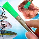 ReTORUE ささら 魚 血合い取り 強いコシ 洗いやすい 23cm ブラシ 血合い ササラ 簓 キッチンブラシ