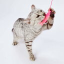 ペティオ (Petio) 猫用おもちゃ 仔猫用 はがためフィッシュ猫じゃらし(4)