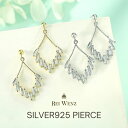 【全品高品質Silver925】ピアス アレ