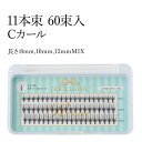 DOOLLASH 11本束 Cカール 60束入 長さ8mm 10mm 12mmMIX 【まつげエクステ】