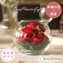 花束 【母の日前得 P10%DEAL ~5/8まで】レンデフロール 国産 ボトルフラワー ドライフラワー 母の日 花 プレゼント お母さん バラ かすみ草 ギフト 贈り物 贈答品 記念品 還暦祝い 結婚祝い 開店祝い 退職祝い 送別会 誕生日 敬老の日 花束 ブーケ インテリア PassionBowl AS-D