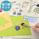 ハンドメイドキット 貼り絵キット 押し花貼り 手作り 簡単 クリスマスカード ヘビ 干支 オリジナル プレゼント ハガキ フレーム 自由研究 フラワーギフト 手...