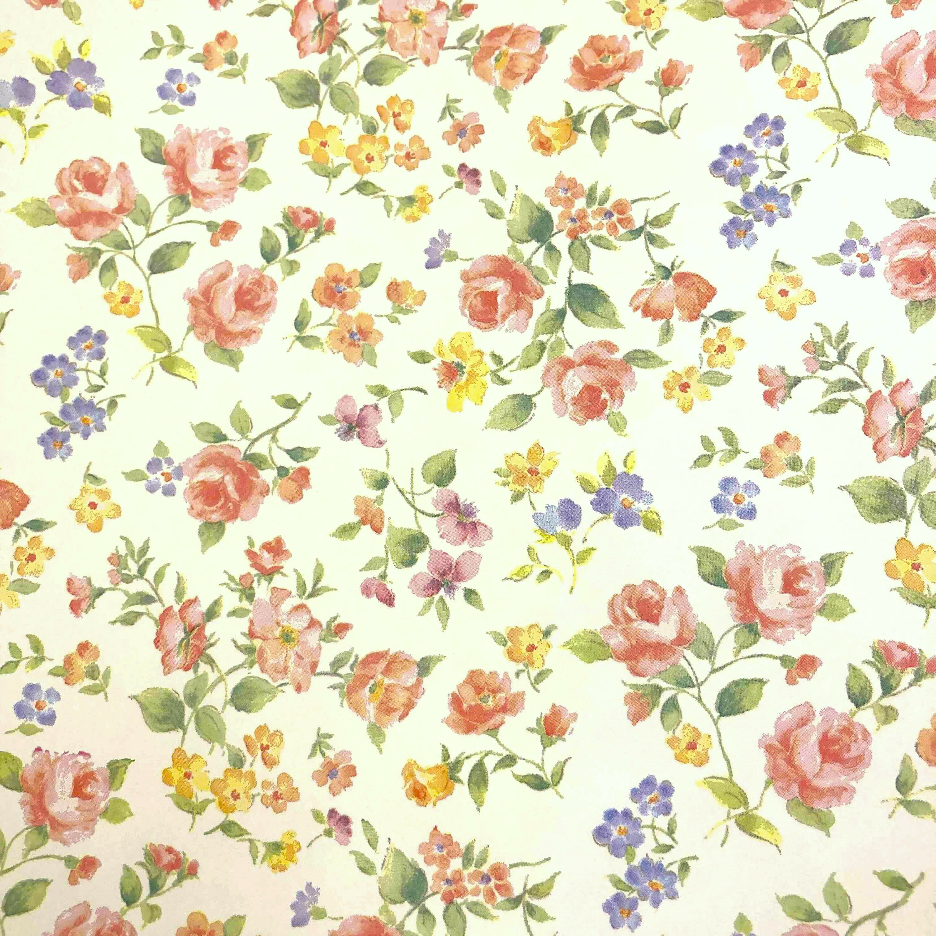 乐天商城 - ラッピング追加する_カラフル