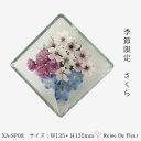 レンデフロール 春 季節品 桜 さくら 国産 ボトルフラワー ドライフラワー プレゼント ギフト お祝い 贈り物 誕生日 入学祝い 女性 花束 ブーケ プリザ 花 インテリア XA-SP-08