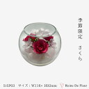 レンデフロール 春 季節品 桜 さくら 国産 ボトルフラワー ドライフラワー プレゼント ギフト お祝い 贈り物 誕生日 入学祝い 女性 花束 ブーケ プリザ 花 インテリア S-SP-03