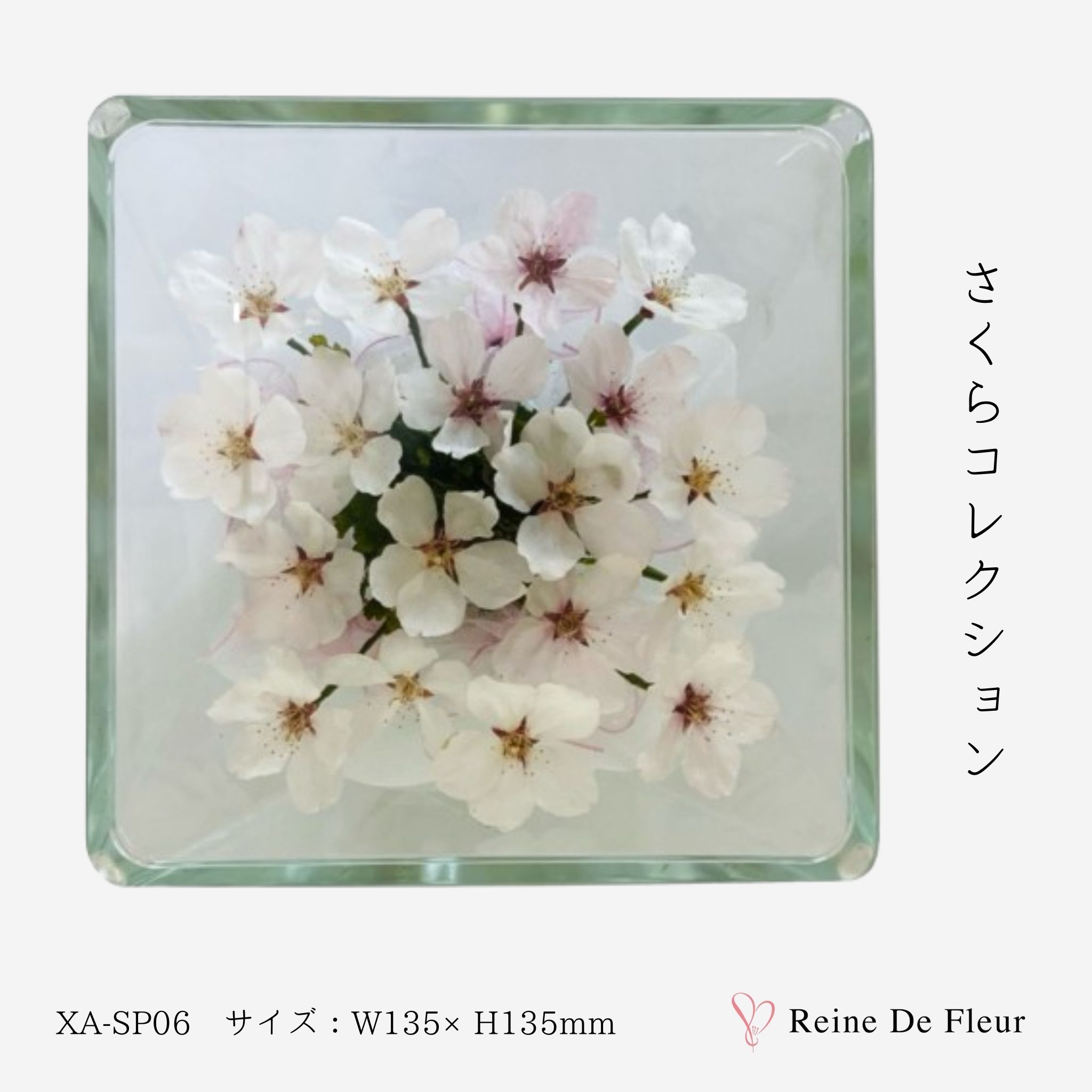 レンデフロール 春 季節品 桜 さくら 国産 ボトルフラワー ドライフラワー プレゼント ギフト お祝い 贈り物 誕生日 入学祝い 女性 花束 ブーケ プリザ 花 インテリア XA-SP-06