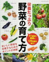 ・この商品は国内メーカー取り寄せ商品です （ご注文を頂いてからメーカーに在庫確認→発注→入荷致します） ・発送準備に4〜7日程（目安）掛かります ・メーカーの在庫が常に変動しておりますのでご注文後でも在庫が確保できない場合がございます ・一度お取り寄せ注文された場合メーカーに直発注する為「ご注文キャンセル」はできませんのでご了承下さいませ ・メーカーに在庫がない場合や完売になった商品は申し訳ございませんが「ご注文キャンセル」となります ・配達日時のご指定はできません （お急ぎのご注文には対応できない場合がございます） ・ご一緒にご注文頂きました商品も同梱一括発送となります （分割発送される場合は別途送料が掛かります） ◆手芸本／1冊（取寄品） ◆ブティック社 版型：AB判 サイズ縦260mm×サイズ横210mm 重量340g ページ数：96 ◆画像転載禁止 ◆実物と画像では多少色合いが異なります 人気の野菜の育て方を、わかりやすいプロセス解説と豊富な写真、データ付きで掲載。野菜の栄養価についての詳細や、栄養やおいしさが増すためのコツなども詳しく紹介。 ・「オリムパス」トップはこちら ・「チェコボタン」はこちら ・「手芸糸・刺繍糸」はこちら ・「手芸道具」はこちら ・「クラフト材料」はこちら ・「手芸用品」はこちら ・「インテリア雑貨」はこちら ・「ファッション」はこちら人気の野菜の育て方を、わかりやすいプロセス解説と豊富な写真、データ付きで掲載。野菜の栄養価についての詳細や、栄養やおいしさが増すためのコツなども詳しく紹介。 ※画像転載禁止