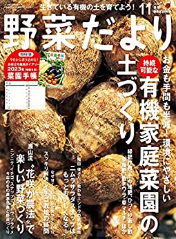 ●取寄品●野菜だより2022年11月冬号／特集は無農薬の家庭菜園づくりに役立つ「緑肥、景観作物、草マルチ、草堆肥」／趣味の本ブティック社のサムネイル