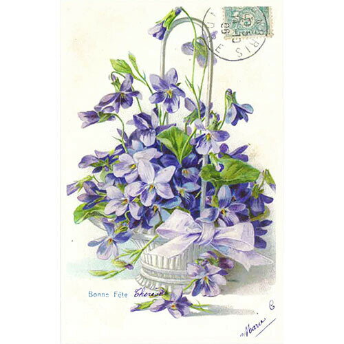 ƥݡ֥ͥåȡפ㤨֥եݥȥ 1硡ȥ롼(åȡߤ սåɡפβǤʤ198ߤˤʤޤ