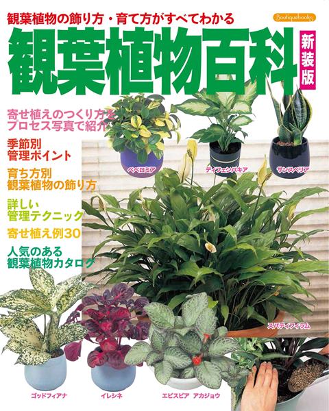 ●取寄品●観葉植物百科 新装版 ／1年中楽しめる観葉植物。育つタイプ別のカタログ／趣味の本ブティック社