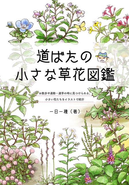 ●取寄品●道ばたの小さな草花図鑑／お散歩や通勤・通学の時に見つけられる、小さくてかわいい草花たちをイラストで紹介している一冊／趣味の本ブティック社