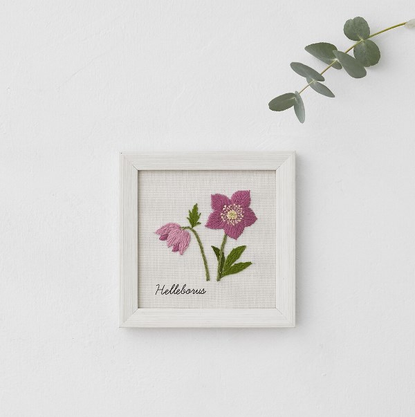 ●取寄品●COSMOコスモ　刺しゅうキット　青木和子　12か月の植物手帖 クリスマスローズ　フレーム付手芸用品メーカールシアンハンドメイドキット