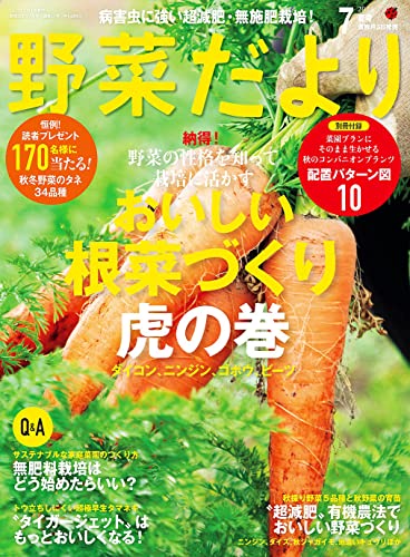 ●取寄品●野菜だより2023年7月夏号／巻頭特集は連載「三波さんの超減肥有機栽培でおいしい野菜づくり／趣味の本ブティック社