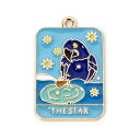 メタルチャーム1個 カラフルオウム(タロットデザインTHE STAR)アクセサリーペンダントパーツ ※1枚目の画像が対象商品