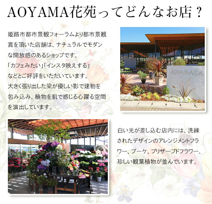 AOYAMA花苑1