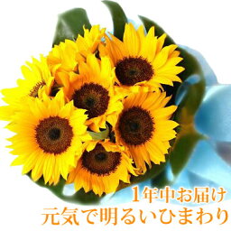 ひまわり ひまわりの花束 ブーケ 生花 送料無料 花 誕生日 プレゼント 女性 母 祖母 父 フラワーギフト 結婚祝い 結婚記念日 妻 送別会 定年 退職祝い 男性 発表会 お祝い お誕生日 お見舞い 退院祝い 快気祝い お花 卒業式 卒業祝い【メッセージカード付 あす楽 日時指定】