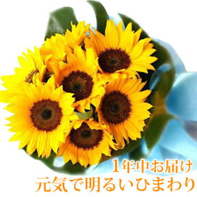 ひまわりの花束 ブーケ 生花 送料無料 花 誕生日 プレゼント 女性 母 祖母 父 フラワーギフト 結婚祝い 結婚記念日 妻 送別会 定年 退職祝い 男性 発表会 お祝い お誕生日 お見舞い 退院祝い 快気祝い お花 入学 就職祝い【メッセージカード付 あす楽 日時指定】