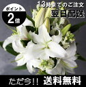 お供え 花束 送料無料 大輪純白ユリの花束 供花 お悔やみ 花 命日 お花 お供え花 お盆 お彼岸 お供え物 お彼岸のお供え 四十九日 法要 法事 仏事 一周忌 供花 喪中見舞い 喪中はがき 寒中見舞い【あす楽対応】