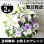 送料無料 お供え 花 アレンジメント 白ユリとトルコキキョウのアレンジメント【生花】お悔やみの花 お彼岸 お盆 初盆 新盆 花 お供え物 お供えの花 法事 仏事 四十九日法要 命日 お花 月命日 一周忌 三回忌 七回忌 年忌法要 供養花 枕花 弔事