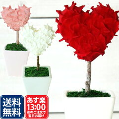 https://thumbnail.image.rakuten.co.jp/@0_mall/reiri-kobe/cabinet/shohin/puri/hearttopiary-main.jpg