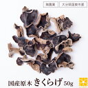 きくらげ 国産原木きくらげ 50g 原木栽培 自然栽培 国産 無農薬 乾燥きくらげ キクラゲ 安心 安全 乾燥きのこ きのこ 木耳 ドライフーズ 乾燥 干しきくらげ 干しキクラゲ 干しきのこ 干し木耳 中華食材 美味しい おいしい 炒め物