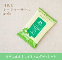 汗拭きシート 女子の必需品 人気のデパコス プチプラボディシートのおすすめプレゼントランキング 予算2 000円以内 Ocruyo オクルヨ 汗拭きシート 女子の必需品 人気のデパコス プチプラボディシートのおすすめプレゼントランキング 予算2 000円以内 Ocruyo オクルヨ