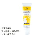 楽天霊芝・冬虫夏草の店1000円 送料無料 1000円ポッキリ カリス成城 ナチュラルトゥースペースト レモン ライム 80g フッ素なし 歯みがき ハミガキ 1000 ハッカ油 歯磨き粉 人気 はみがき 安全 安心 子供 歯 歯茎 むし歯 無添加 ギフト おしゃれ プレゼント オーガニック