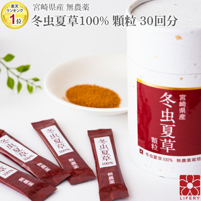 冬虫夏草 コルジセピン サプリ 顆粒 スティック 30包 国産 免疫 花粉 ベータグルカン 健康食品 無添加 無農薬 アミノ酸 人気 サプリメント パウダー 活力 自信 漢方 肝臓 対策 ギフト 菌活 持ち運び 携帯 旅行 ギフト 北虫草