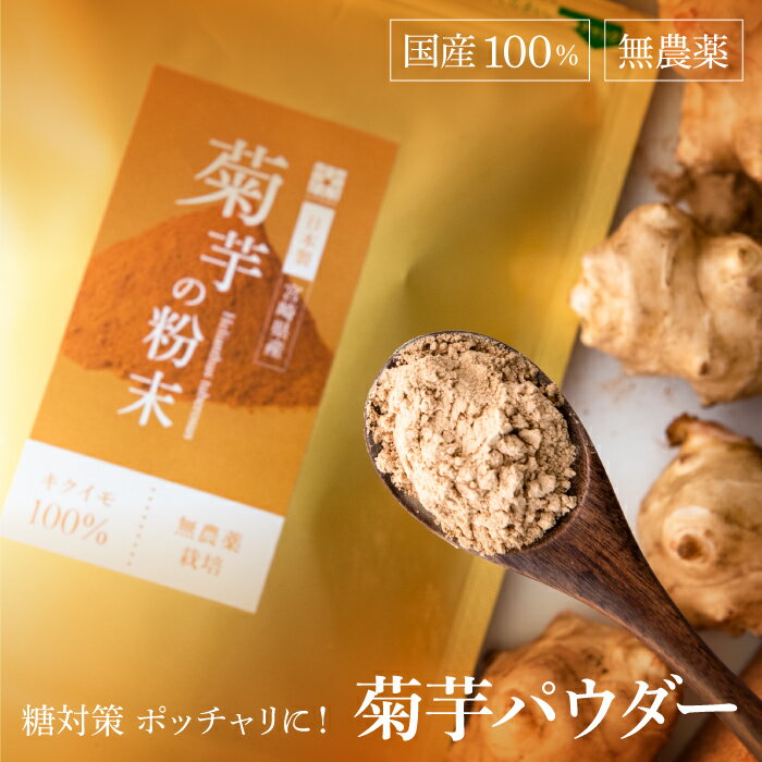 菊芋パウダー 菊芋 100g 国産 イヌリ