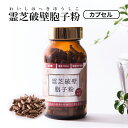 送料無料 霊芝胞子粉 破壁霊芝胞子粉 カプセル 約30日分 ...