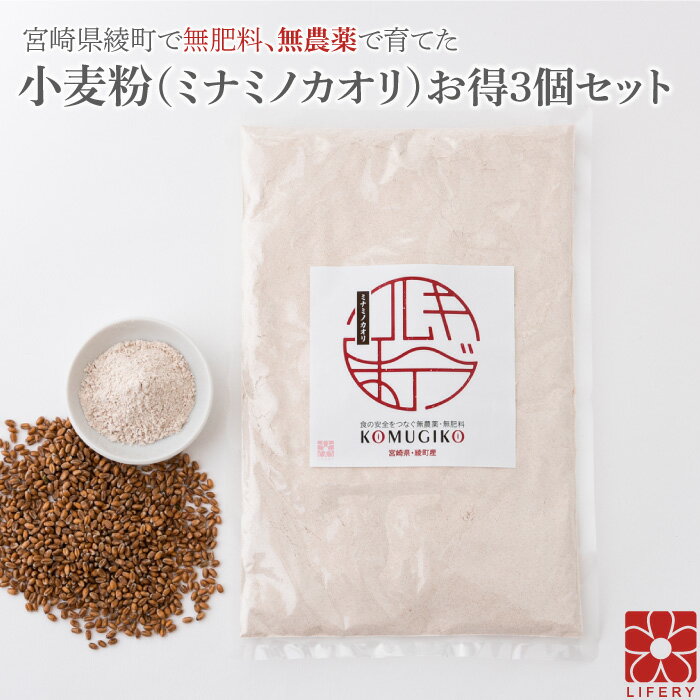 国産 小麦粉 3個 セット 国産小麦粉 