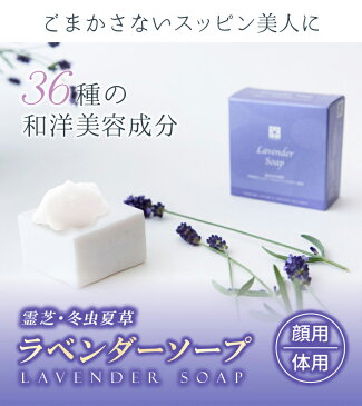 送料無料 霊芝 冬虫夏草 ラベンダー ソープ 80g 角栓 毛穴 洗顔 ラベンダー石鹸 ラヴェンダー 精油 石鹸 いい香り ソープ せっけん 洗顔石けん 固形石鹸 固形石けん 洗顔石鹸 泡 無添加 ギフト プレゼント ふらの オーガニック 弱アルカリ性 抗菌 手洗い 石けん