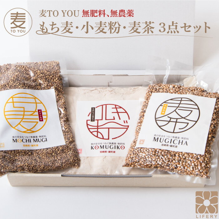 麦TOU YOU 国産 もち麦 小麦粉 むぎ茶 3点 セット 無農薬 無肥料 全粒粉 ダイシモチ ミナミノカオリ 麦 麦茶 六条大麦 ミネラル 無添加 自然栽培 腸内環境 腸 免疫 日本製 綾町 食物繊維 熱中症対策 グルメ ギフト プレゼント ラッピング 送料無料 挨拶 手土産 お中元