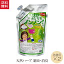 2個 セット 詰替用 不快な害虫ノンノンスプレー 害虫 忌避 室内用 詰替え用 ダニ対策 ノミ対策 ダニよけ ノミよけ コバエ 忌避剤 植物成分 ノンケミカル 自然 虫 駆除 イチオシ 日本製 国産 安全 安心 カーペット 畳 毛布 ペット寝具 台所 消臭 ノンノン 月桃