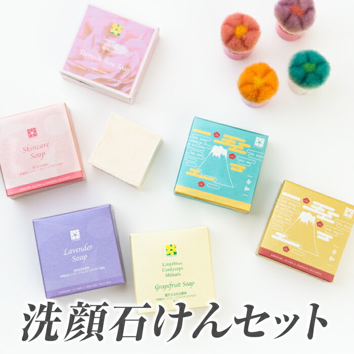 送料無料 ギフトセット 洗顔せっけん 熊野筆 洗顔ブラシ 洗顔筆 化粧筆 ギフト プレゼント 誕生日プレゼント 日本製 贈り物 30代 40代 50代 60代 70代 石鹸 洗顔 フェイスブラシ メイクブラシ 可愛い 熊野 実用的 おすすめ 健康 霊芝 バレンタインデー バレンタイン格安通販　バレンタイン　人気　ランキング