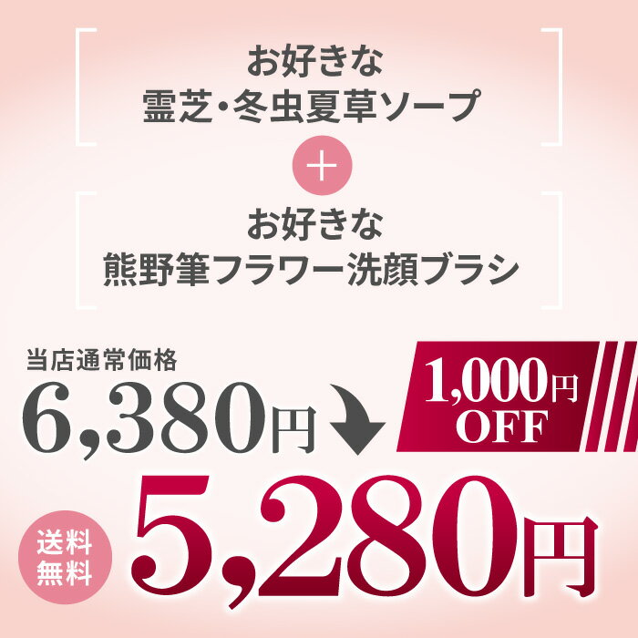送料無料 ギフトセット 洗顔せっけん 熊野筆 洗顔ブラシ 洗顔筆 化粧筆 ギフト プレゼント 誕生日プレゼント 日本製 贈り物 30代 40代 50代 60代 70代 石鹸 洗顔 フェイスブラシ メイクブラシ 可愛い 熊野 実用的 おすすめ 健康 霊芝 バレンタインデー バレンタイン格安通販　バレンタイン　人気　ランキング
