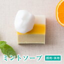 洗顔石けん 霊芝 冬虫夏草 ミントソープ 80g 体用 顔用乾燥肌 汗臭 毛穴 角質に! 固形石けん...
