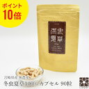 国産 冬虫夏草 100% サプリメント 添加物ゼロ コルジセピン サプリ カプセル 90粒 国産 免疫 花粉 ベータグルカン 健康食品 無添加 無農薬 アミノ酸 人気 サプリメント パウダー 活力 自信 漢方 肝臓 対策 ギフト 菌活 ギフト 北虫草