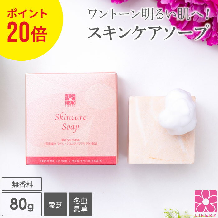 ポイント20倍 固形石けん 洗顔石けん 霊芝 冬虫夏草 スキンケアソープ 80g 泡ネット付 毛穴ケア 弱アルカリ性 洗顔 石鹸 ソープ せっけん 固形石鹸 洗顔石鹸 ボディーソープ 朝洗顔 洗顔料 無添加 無香料 温泉水 角栓 毛穴 角質 泡 美容