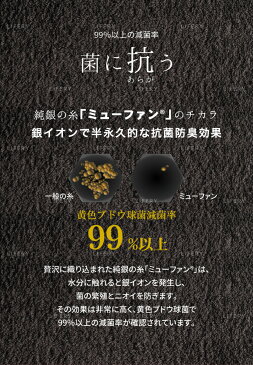 エアーかおる フェイスタオル タオル 純ギラ銀 2枚お買いあげで 送料無料 銀糸 34×85cm 浅野撚糸 オーガニックコットン えあーかおる フェイス バスタオル 兼用 銀 速乾 髪 赤ちゃん ギフト プレゼント 魔法のタオル 高級 今治 えあーかおる 父の日 健康