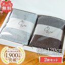 2枚 セット 吸水 エアーかおる バスタオル タオル エクスタシー XTC 60×120cm バス 汗 吸収 髪 顔 肌 誕生日 ギフト プレゼント えあーかお...