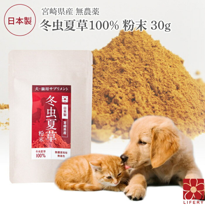 楽天霊芝・冬虫夏草の店犬 猫 ペット サプリメント 冬虫夏草 コルジセピン 粉末 健康食品 30g 送料無料 日本産 国産 無添加 人気 サプリ パウダー 菌 免疫 ベータグルカン βグルカン アミノ酸 菌活 健康 犬用 猫用 健康維持 大型犬 小型犬 老犬 老猫 シニア