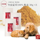 3個セット 犬 猫 ペット サプリメント 冬虫夏草 コルジセピン 粉末 健康食品 30g 日本産 国産 無添加 人気 サプリ パウダー 菌 免疫 ベータグルカン...