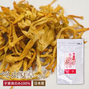 冬虫夏草 コルジセピン 子実体 20g サナギタケ 健康食品 日本製 免疫 β-グルカン ベータグルカン マンニトール 人気 サプリ 天然 ミリタリス サプリメント 漢方 対策 ギフト アルギニン 菌活 疲れ 肝臓 無添加 薬膳料理 乾燥 乾燥きのこ 北虫草