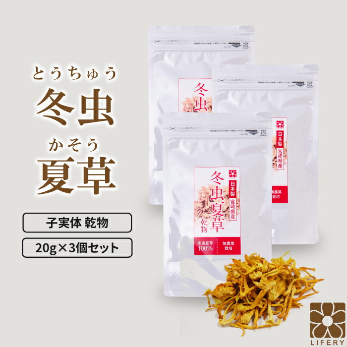 3袋 セット 冬虫夏草 子実体 サナギタケ 健康食品 日本製 宮崎県産 無農薬 ベータグルカン コルジセピン マンニトール 免疫 人気 サプリ 天然 ミリタリス サプリメント 漢方 対策 アルギニン 菌活 疲れ 肝臓 βグルカン 薬膳 薬膳料理 乾燥 乾燥きのこ