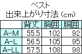 フォーマルベスト セット メンズ ｜ ベスト アスコットタイ チーフセット スカーフリング付 シルバーグレー 光沢 日本製 フォーマル ベストセット セット シルバー グレー チョッキ ジレ ウエストコート スーツ リング 男性 結婚式 着こなし コーデ 送料無料 VE200-AS200